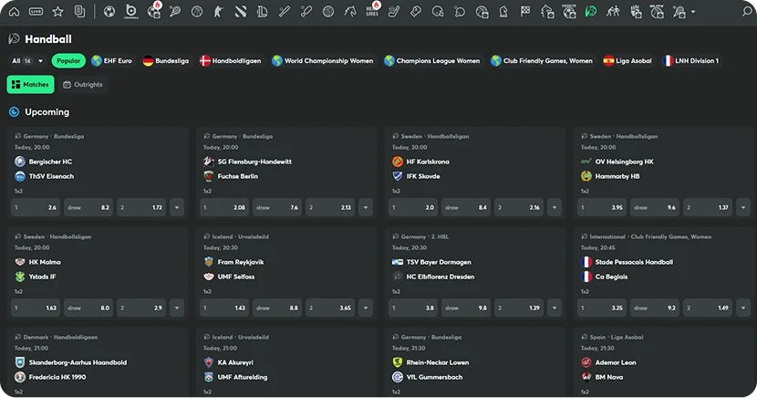 bc game casino sports betting handball in english