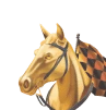 bc game racing section icon