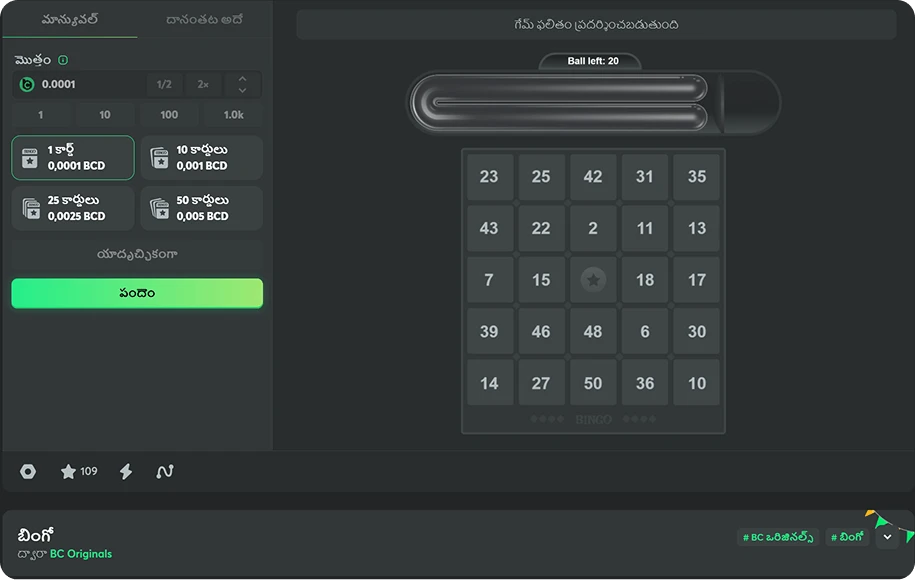 original bingo game at the bc game casino telugu