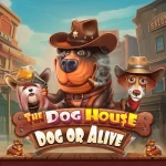 the dog house dog or alive slot